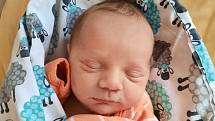 Vilém Gregor se narodil v nymburské porodnici 13. listopadu 2021 v 16:28 s mírami 2980 g a 47 cm. Rodiče Jana a Filip se z ní radují doma v Milovicích nad Labem.