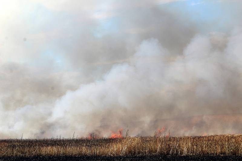 Požár pole s obilím byl vidět až patnáct kilometrů daleko.