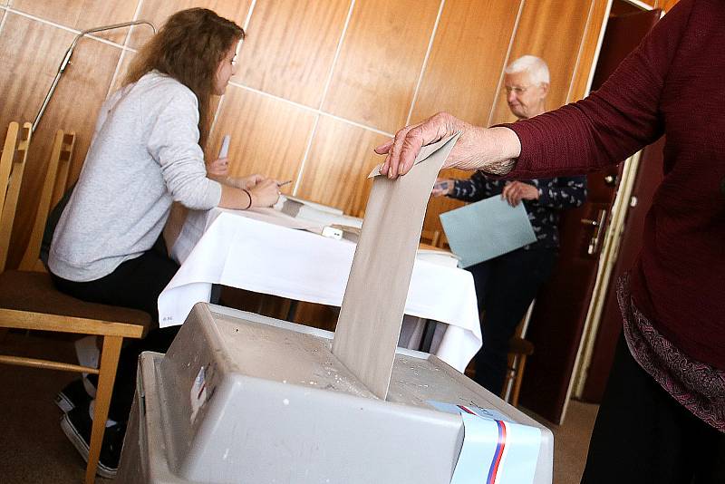 Volby v Libici nad Cidlinou.