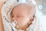 Adam Shelemba se narodil v nymburské porodnici 14. září 2022 v 8:20 hodin s váhou 3630 g a mírou 50 cm. V Čelákovicích chlapečka očekávala maminka Hanna, tatínek Andrej a bráška Artem (4,5 roku).