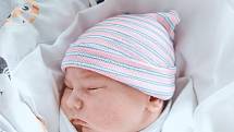 Sebastián Kovařík se narodil v nymburské porodnici 6. dubna 2022 v 15:16 hodin s váhou 3510 g a mírou 50 cm. V Benátkách nad Jizerou bude prvorozený chlapeček bydlet s maminkou Eliškou a tatínkem Jaroslavem.