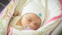 Viktorie Šolcová, Poděbrady. Narodila se 13. října 2019 ve 4.11 hodin, vážila 3 650g a měřila 50 cm. Holčičku očekávali rodiče Iveta a Filip a sestřička Karolína (2,5 roku).