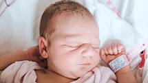 Anna Laštovková se narodila v nymburské porodnici 3. července 2022 v 12:26 hodin s váhou 3110 g a mírou 46 cm. Holčičku si do Vrbčan odvezla maminka Andrea, tatínek Michal a sestřička Veronika (2,5 roku).