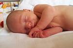 ŠTĚPÁN JE PRVOROZENÝ. Štěpán Šulc se narodil 13. června 2012 ve 12.07 hodin mamince Janě a tátovi Jakubovi z Nymburka. Vážil 3 560 g  a měřil 46 cm. Je prvním miminkem v rodině.