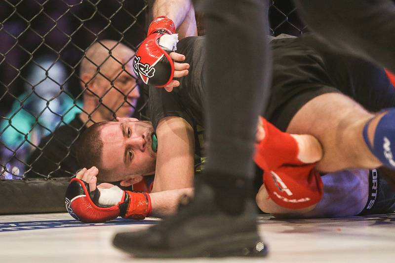 Galevečer MMA GCF 61 Cage Fight Nymburk se ve Sportovním centru konal v neděli 26. ledna.