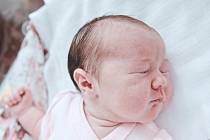 Michaela Šedinová se narodila v nymburské porodnici 13. srpna 2022 v 2:35 hodin s váhou 3600 g a mírou 50 cm. Holčičku v Lobči očekávala maminka Barbora, tatínek Jan a sestřička Adéla (2,5 roku).