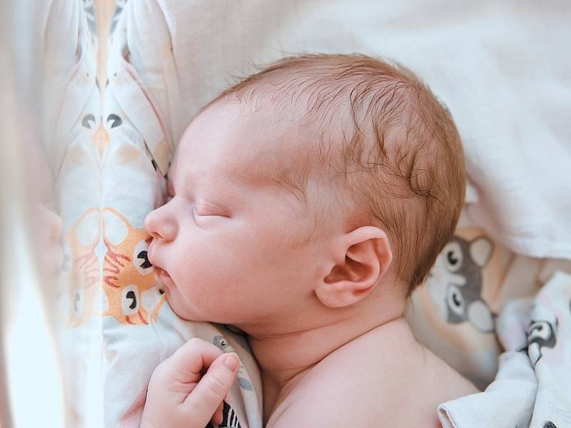 Martin Kudibal se narodil v nymburské porodnici 13. května 2022 v 8:36 hodin s váhou 3920 g a mírou 49 cm. Na Loučeni bude prvorozený chlapeček bydlet s maminkou Evou a tatínkem Martinem.