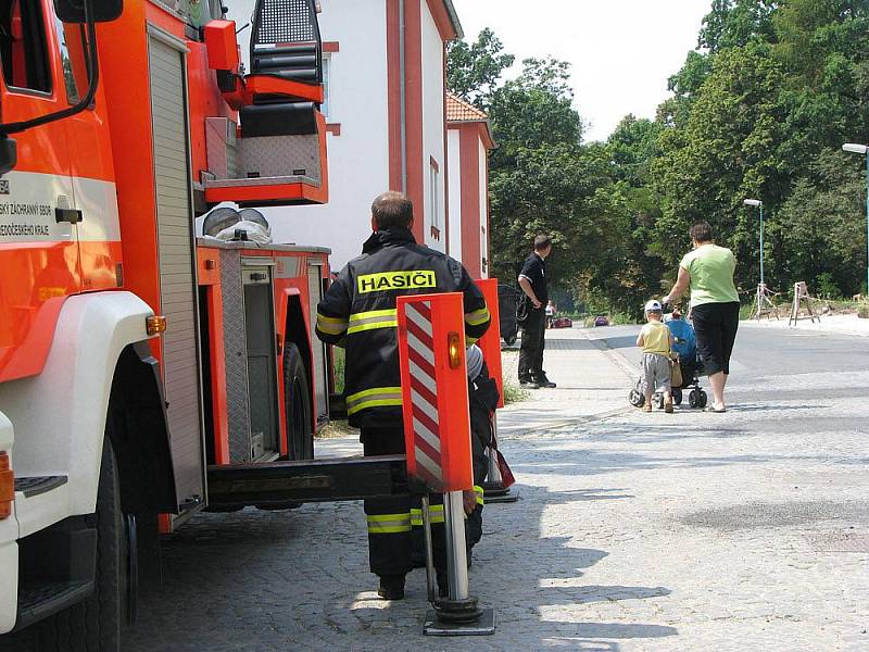 Hasiči likvidovali ve čtvrtek dopoledne roj včel v Italské ulici v Milovicích.