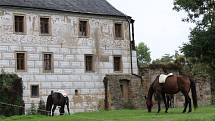 Dožínkovou slavnost V zámku a v podzámčí uspořádalo Polabské muzeum společně s obcí Přerov nad Labem a majitelem zámku Českým rozhlasem už tradičně ve skanzenu a přilehlém zámku.