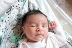 Vanesa Lavuová z Plaňan se narodila v nymburské porodnici 1. dubna 2021 ve 23.05 hodin s váhou 3180 g a mírou 48 cm. Na prvorozenou holčičku se těšili maminka Šárka a tatínek Patrik.