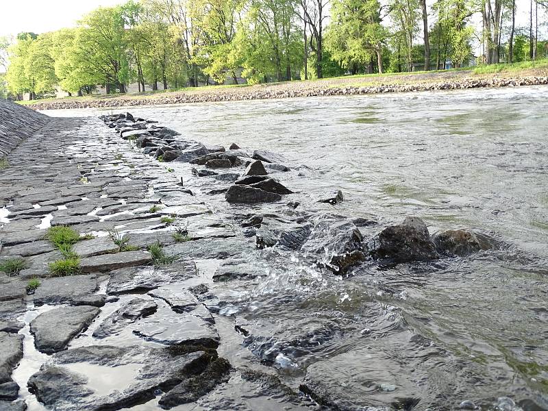 Hladina Labe v Poděbradech po deštích mírně stoupla.