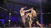 Galevečer MMA GCF 61 Cage Fight Nymburk se ve Sportovním centru konal v neděli 26. ledna.