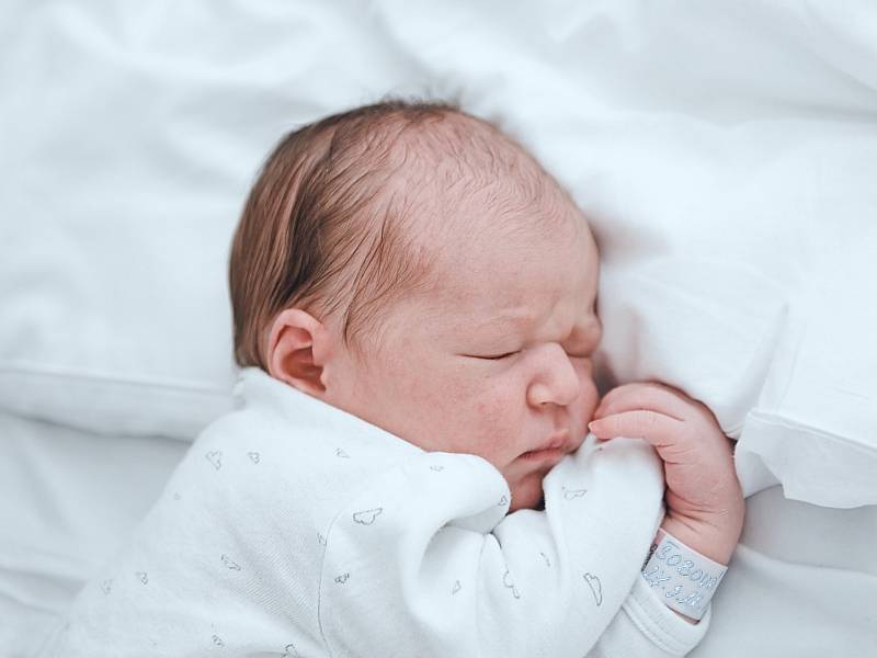 Nela Šobová z Doubku se narodila v nymburské porodnici 27. března 2022 v 11:21 hodin s váhou 3440 g a mírou 49 cm. Domu pojede holčička s maminkou Lucií, tatínkem Miloslavem a bráškou Adamem (2,5 roku).