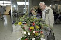 Na výstavišti začal jedenáctý ročník tradiční výstavy Květy a zahradnických trhů.
