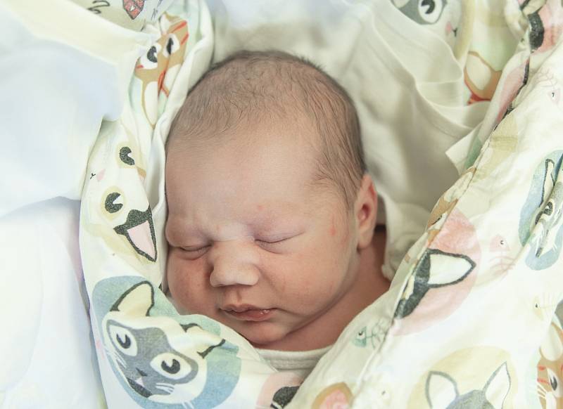 Veronika Filipová se narodila v nymburské porodnici 25. srpna v 23.23 hodin s váhou 2870 g a mírou 46 cm. V Běrunicích bude holčička bydlet s maminkou Martou, tatínkem Petrem a bráškou Michalem (17 měsíců).