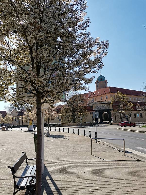 Náměstí, ulice i park rozkvetly. Foto: Ružena Wagnerová