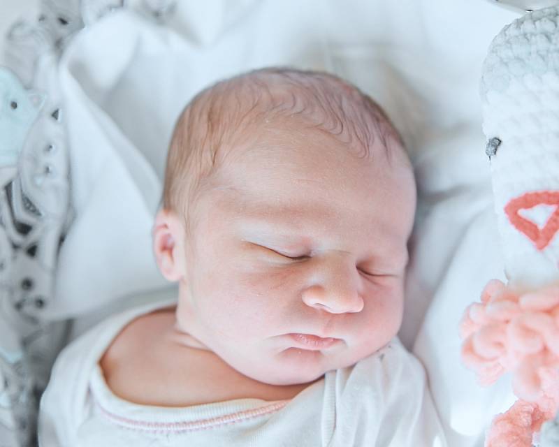 Vilém Cába ze Sadské se narodil v nymburské porodnici 17. dubna 2022 v 2:45 hodin s váhou 3120 g a mírou 49 cm. Na chlapečka se těšila maminka Anna, tatínek Vladimir a bráška Hynek (2 roky).