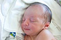 David Pokorný se narodil v nymburské porodnici 20. dubna 2021 ve 13.45 hodin s váhou 3410 g a mírou 50 cm. S maminkou Andreou a tatínkem Tomášem bude prvorozený chlapeček vyrůstat v Kovanicích.