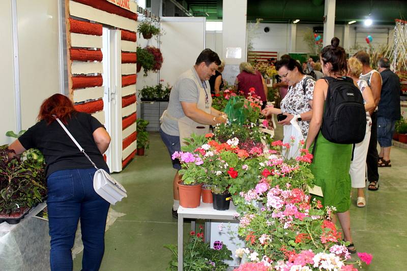 Na lyském výstavišti je k vidění až do neděle výstava Květy a Festival umění. Ve venkovních prostorách jsou připraveny pouťové atrakce.