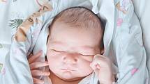 David Kemr se narodil v nymburské porodnici 17. dubna 2022 v 2:08 hodin s váhou 3900 g a mírou 51 cm. V Nymburce bude chlapeček bydlet s maminkou Evou, tatínkem Janem a brášky Janem (8 let) a Ondřejem (6 let).