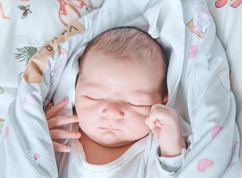 David Kemr se narodil v nymburské porodnici 17. dubna 2022 v 2:08 hodin s váhou 3900 g a mírou 51 cm. V Nymburce bude chlapeček bydlet s maminkou Evou, tatínkem Janem a brášky Janem (8 let) a Ondřejem (6 let).