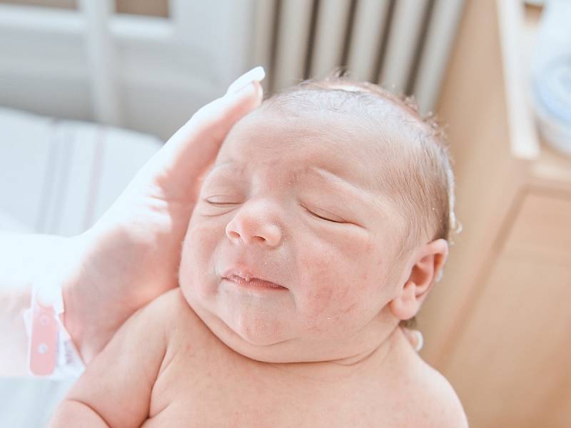 Jasmina Dilan Esmez se narodila v nymburské porodnici 9. srpna 2022 v 13:13 hodin s váhou 3500 g a mírou 50 cm. Prvorozenou holčičku si odvezli domu do Nymburka rodiče Michaela a Mahsum.