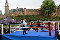 Boxerské zápasy se uskutečnily v malebném prostředí na Labi pod nymburskými hradbami.