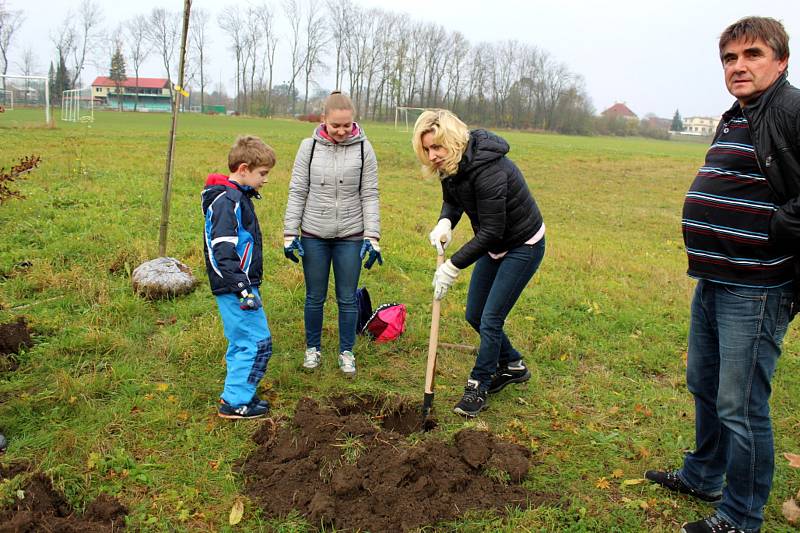 Desítky lidí dorazily v neděli dopoledne do areálu skautů na nymburském Vesláku a vysadily zhruba tři desítky nových stromů.