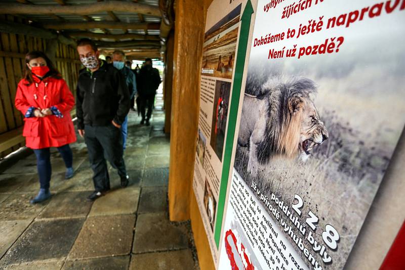 Zoo v pondělí opět otevře svoje brány, těšit se na vás budou třeba lvi nebo medvědi.