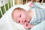 MAREK JE DOMA V KOVANICÍCH. Marek Trejbal je nový Kovaničák, který se narodil 8. února 2015, 25 minut po půlnoci. Vážil 3 800 g a měřil 50 cm. Rodiče Monika a Vladimír z Kovanic dopředu věděli, že se jim narodí chlapeček.