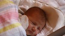 ADÉLKA JE TU! ADÉLA MYSLIVEČKOVÁ je malá slečna narozená 9. ledna 2017 v 13.32 hodin s mírami 3 360 g a 49 cm. Rodiče Ivana a Petr ze Sadské dali svému prvnímu miminku krásné české jméno. 