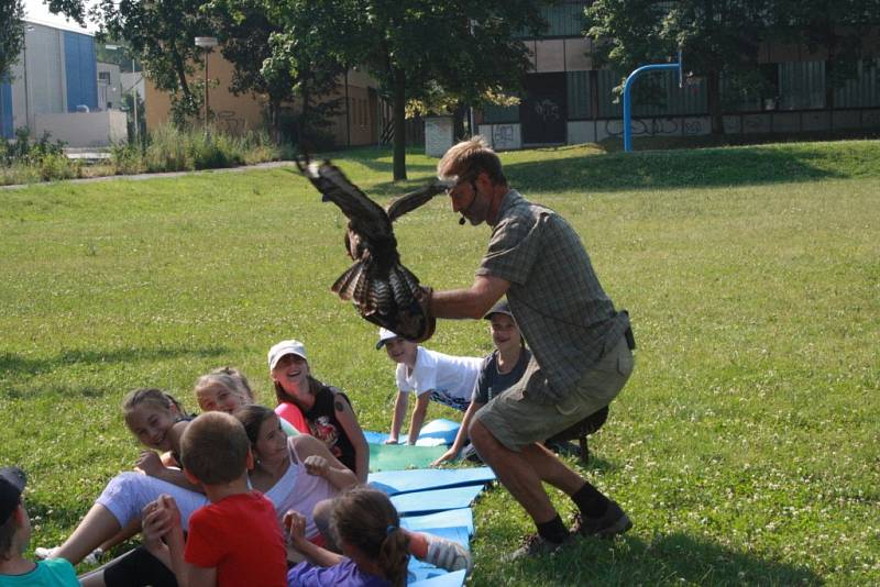 Na příměstském táboře v DDM Symfonie v Poděbradech s děti seznámily zblízka s dravými ptáky.