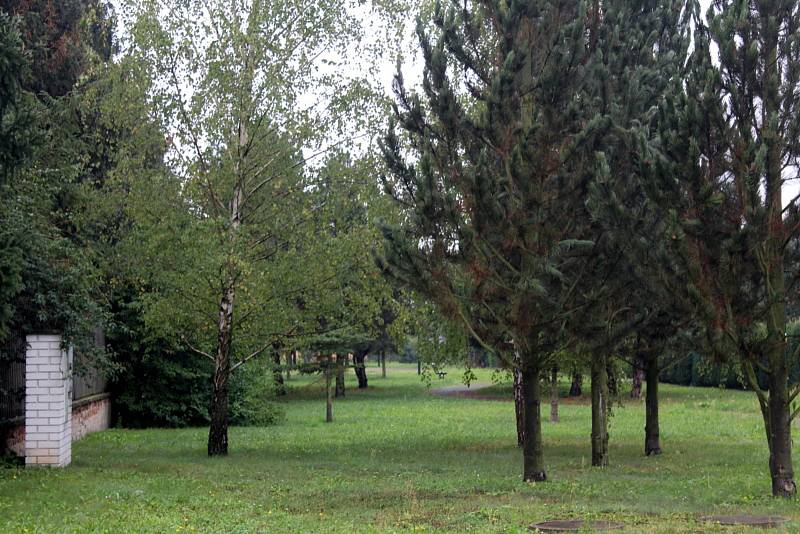 Drahelickou ulice Na Tržišti a park vedle zadního vchodu u hřbitova oživí výsadba listnatých stromů ještě letos.