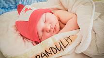 Antonín Randula, Poděbrady. Narodil se 11. března 2020 v 17.20 hodin v nymburské porodnici. Vážil 3 540 g a měřil 49 cm. Těší se z něj rodiče Eliška a Jakub.