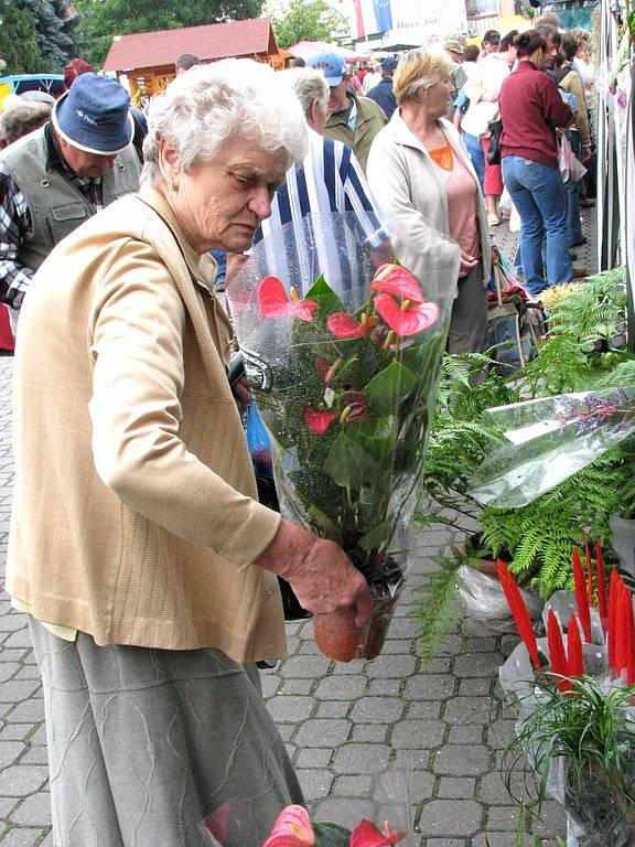 Na Výstavišti v Lysé nad Labem probíhá do neděle výstava květy. Otevřeno je denně od 9 do 17 hodin.