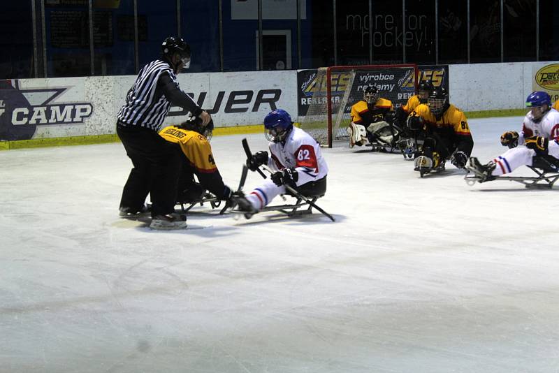 Momentky ze sobotního zápasu v para hokeji, kdy Češi zdolali Němce 3:2 v prodloužení.