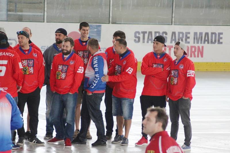 Na nymburském zimním stadionu se uskutečnil třetí ročník turnaje v bandy hokeji.