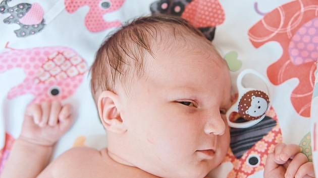 Erin Bilous se narodila v nymburské porodnici 11. července 2022 v 7:30 hodin s váhou 4030 g a mírou 50 cm. Do Lázní Toušeň prvorozenou holčičku odvezli maminka Pavlína a tatínek Volodymyr.
