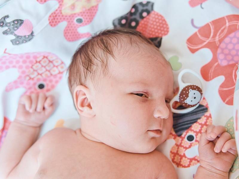 Erin Bilous se narodila v nymburské porodnici 11. července 2022 v 7:30 hodin s váhou 4030 g a mírou 50 cm. Do Lázní Toušeň prvorozenou holčičku odvezli maminka Pavlína a tatínek Volodymyr.