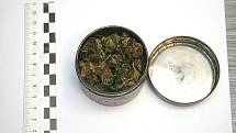Marihuana nalezená při domovní prohlídce u jednoho z lupičů