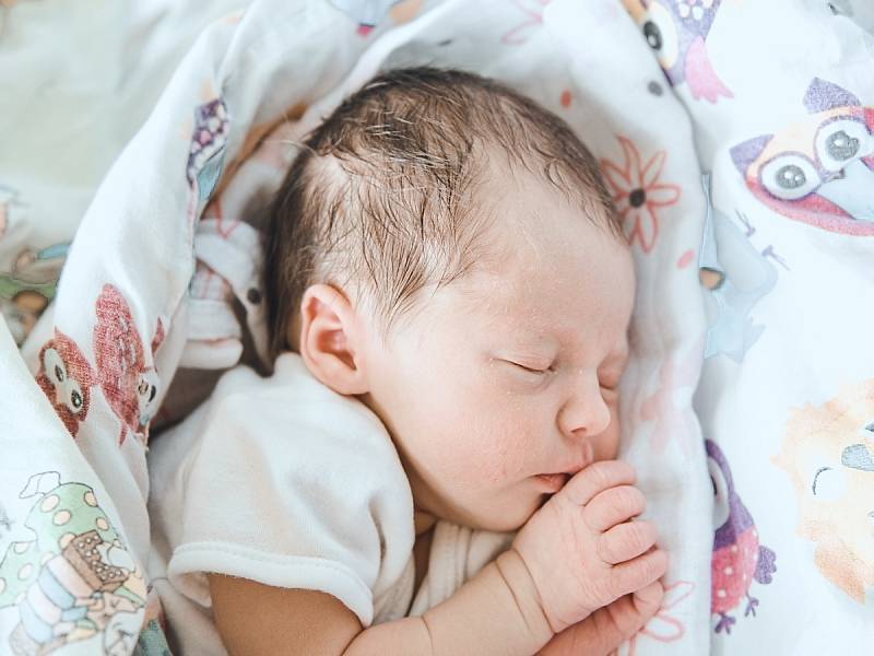 Eliška Kaprová se narodila v nymburské porodnici 28. června 2022 v 5:13 hodin s váhou 2830 g a mírou 45 cm. Maminka Lucie a tatínek Jakub se z prvorozené holčičky raduji v Poděbradech.