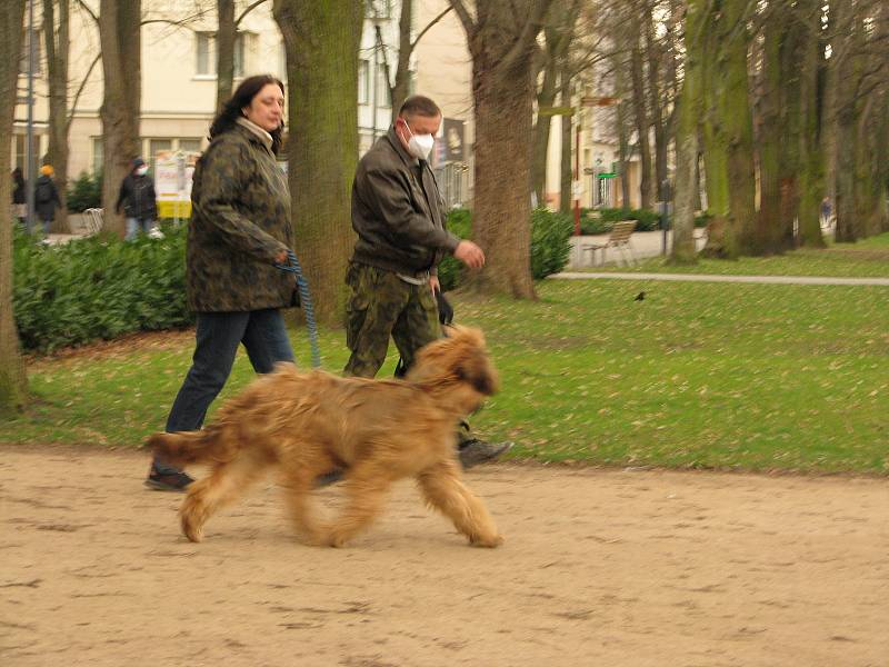 Odpoledne Bílé soboty v Poděbradech.