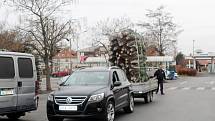 Nákladní vůz s přívěsem plným vánočních stromků dorazil v sobotu k hypermarketu Albert v Nymburce.