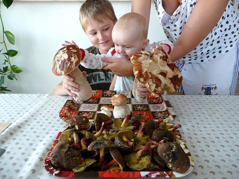 Takový úlovek se podařil Městečákovi Miroslavu matouškovi z Městce.