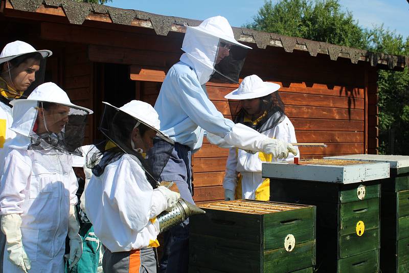 Příměstský tábor se jmenoval Jako včely na zahradě.