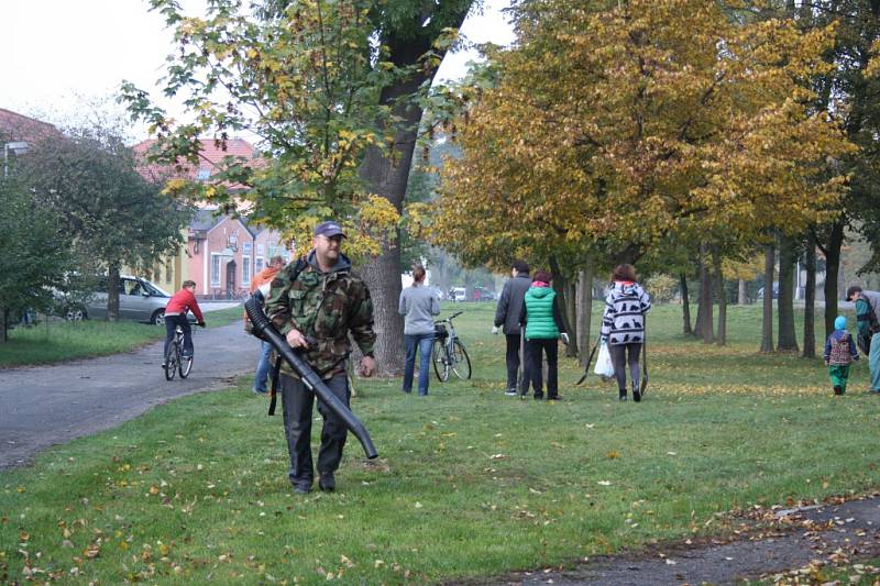 V Kostelní Lhotě vysadili 3 000 narcisů