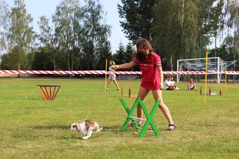 Kamenné Zboží přivítalo první závody v králičím hopu.