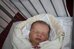 O NELINCE SE VĚDĚLO PŘEDEM. NELA KOSÍKOVÁ je princeznička narozená 26. dubna 2017 v 20.51 hodin. Míry nové obyvatelky Stratova byly 3 180 g a 49 cm. Radují se z ní rodiče Michaela a Martin. 