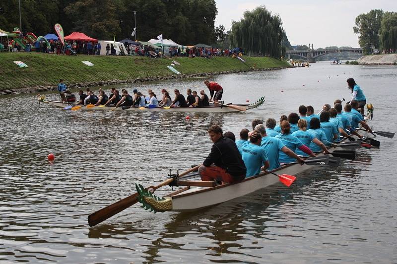 Dragonfest na nymburském Labi