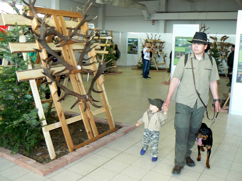 Jedna z každoročně nejnavštěvovanějších výstav v Lysé nad Labem Natura Viva byla slavnostně zahájena.